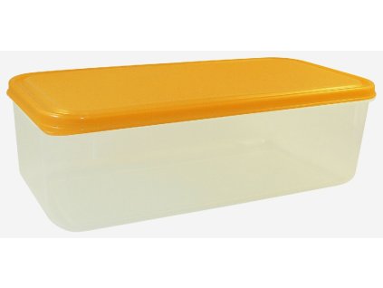 box  1,70l FRESH 25x12x8cm, plast