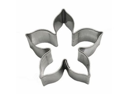 vykr.NR 3472 Klematis, 5x4,8,v.1,6cm