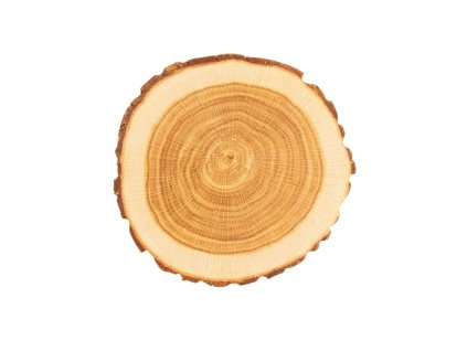 Podtácek WOODEN 10 ks