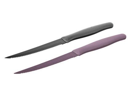 nůž na steak 23,5cm APETIT Color nerez