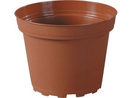 květ.  d 6cm CLASSIC TOD/leh, 20 kusů