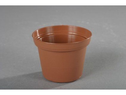 květ.  d 8cm CLASSIC TOD/leh 15 kusů