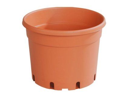 květ.  d17cm CLASSIC MCI /dez+EAN/2,0I, TER