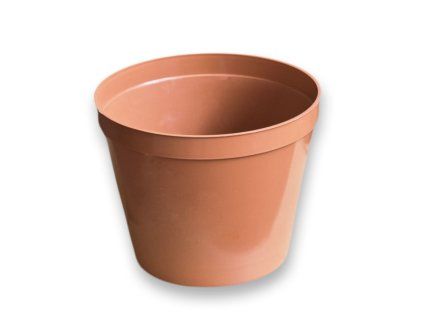 květ. d20cm Standard TER