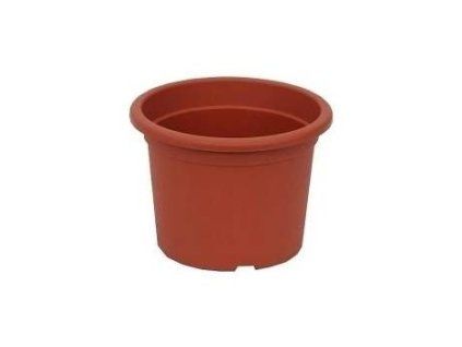 obal d15cm Narcis TER