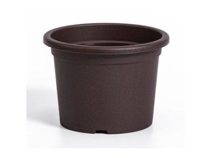 obal d15cm Narcis Čoko