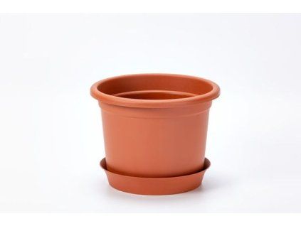 obal d19cm Narcis TER