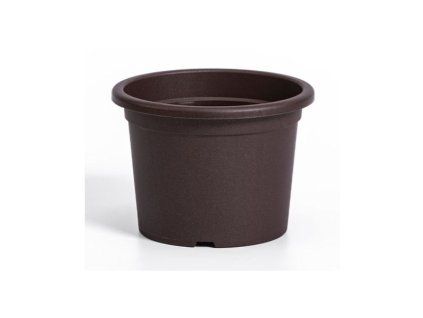 obal d19cm Narcis Čoko