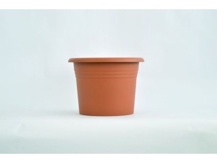 obal d25cm Narcis TER