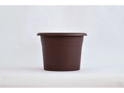 obal d25cm Narcis Čoko