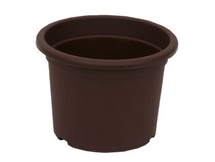 obal d30cm Narcis Čoko