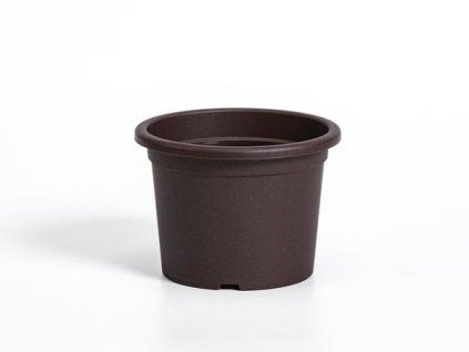 obal d35cm Narcis Čoko