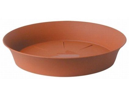 podmiska d24cm TER TULIPÁN