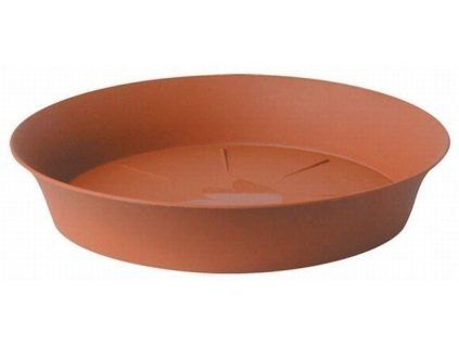 podmiska d50cm TER TULIPÁN