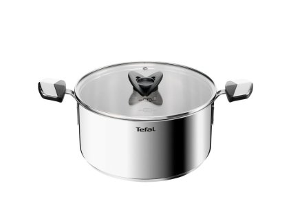 hrnec d24cm+PO, EMOTION+, indukce, TEFAL, NR