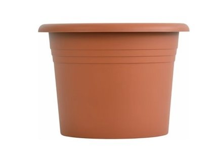obal d21cm Narcis TER