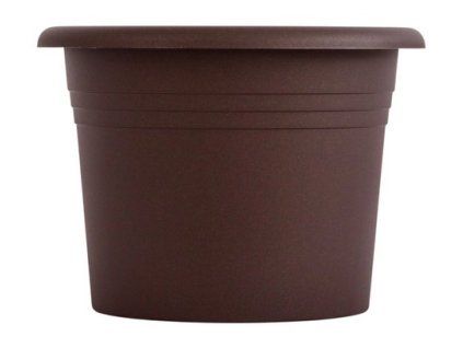 obal d21cm Narcis ČOKO