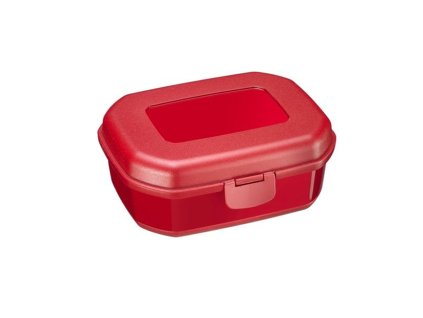 Box svačinový MAXI