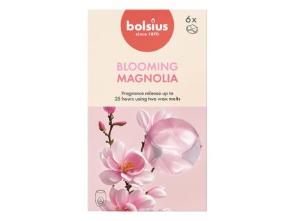 VOSKY VONNÉ MAGNOLIE, SADA 6KS
