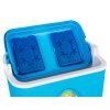 vložka do chladicího boxu FLAT 200g (2ks)