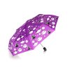 deštník 52cm skládací mění barvy FI kočičky 35 23119