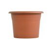 obal d11cm Narcis TER
