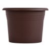 obal d11cm Narcis ČOKO