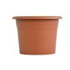 obal d21cm Narcis TER